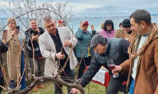 Раздават един тон червено вино в Свети Влас за Трифон Зарезан